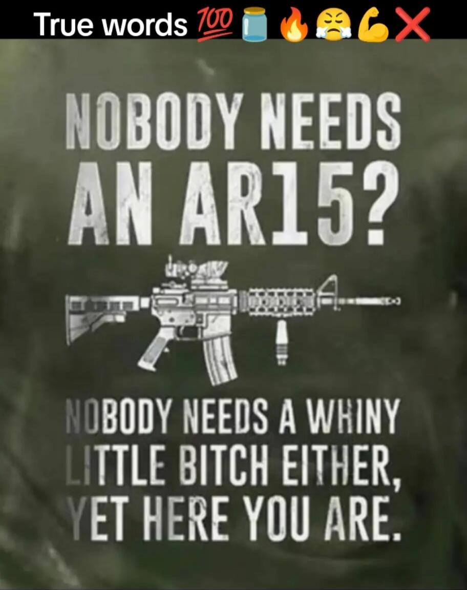 True words Nobody needs an AR15? Nobody needs a whiny little bitch either, yet here you are.