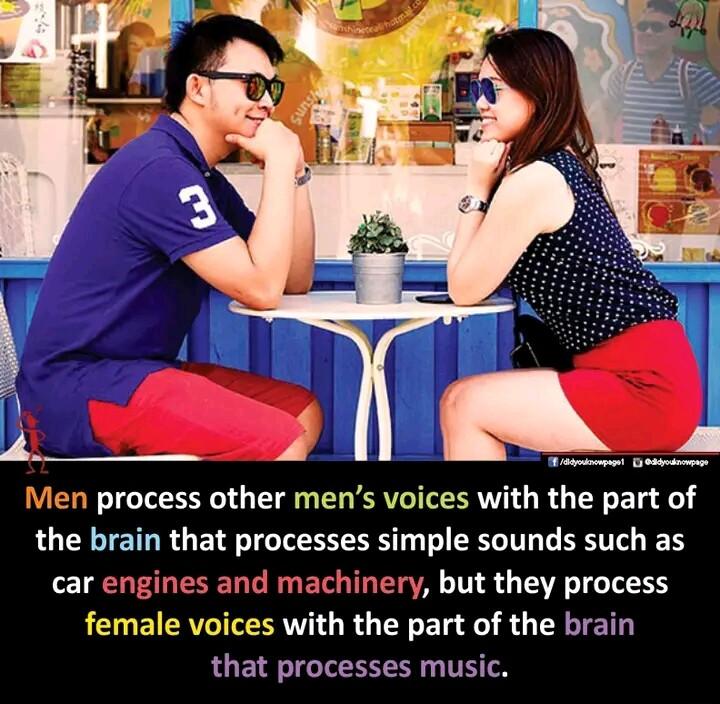 N Men process other mens voices with the part of the brain that processes simple sounds such as car eng hinery but they process female voices with the part of the brain that processes music