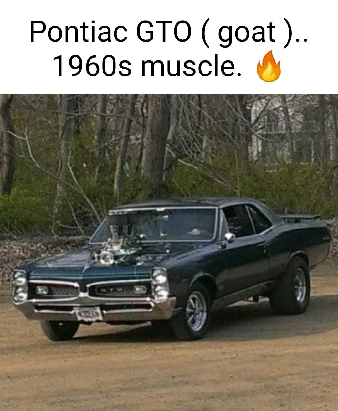 Pontiac GTO goat 1960s muscle