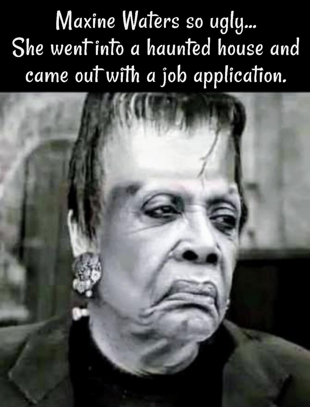 Maxine Waters so ugly... She went into a haunted house and came out with a job application.