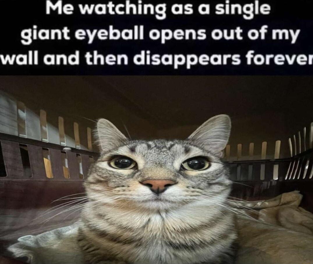 Me watching as a single giant eyeball opens out of my WL LT RGELY ELT TN TR LTSV