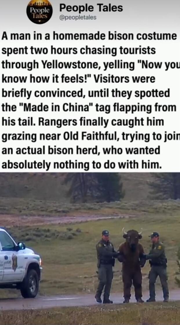 A man in a homemade bison costume spent two hours chasing tourists through Yellowstone, yelling 