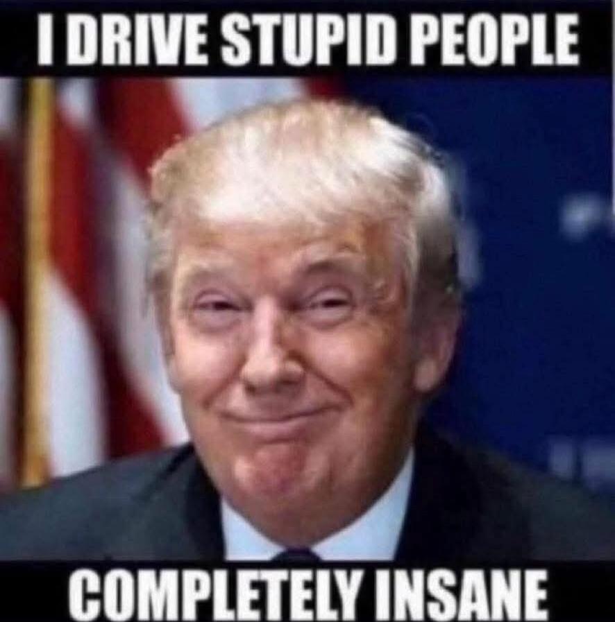 I DRIVE STUPID PEOPLE COMPLETELY INSANE