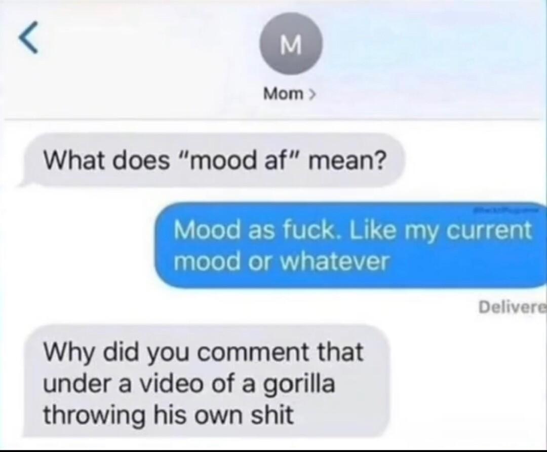 Mom What does mood af mean Delivere Why did you comment that under a video of a gorilla throwing his own shit