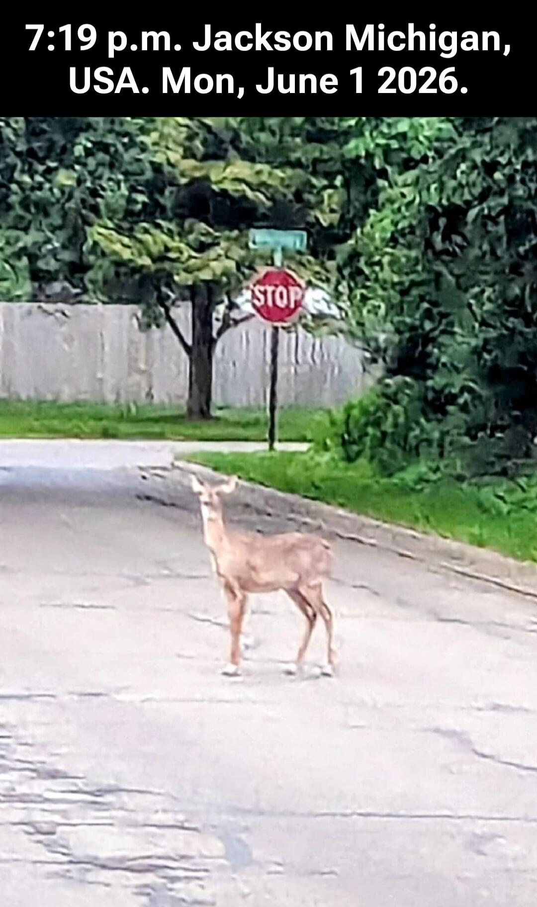 7:19 p.m. Jackson Michigan, USA. Mon, June 1 2026. STOP