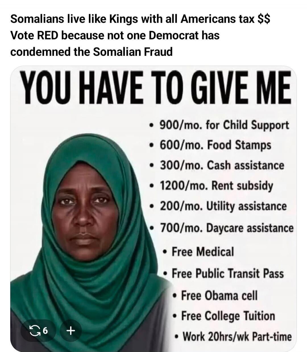 Somalians live like Kings with all Americans tax $$ Vote RED because not one Democrat has condemned the Somalian Fraud YOU HAVE TO GIVE ME 900/mo. for Child Support 600/mo. Food Stamps 300/mo. Cash assistance 1200/mo. Rent subsidy 200/mo. Utility assistance 700/mo. Daycare assistance Free Medical Free Public Transit Pass Free Obama cell Free Colleg