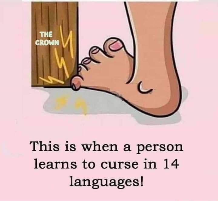 This is when a person learns to curse in 14 languages