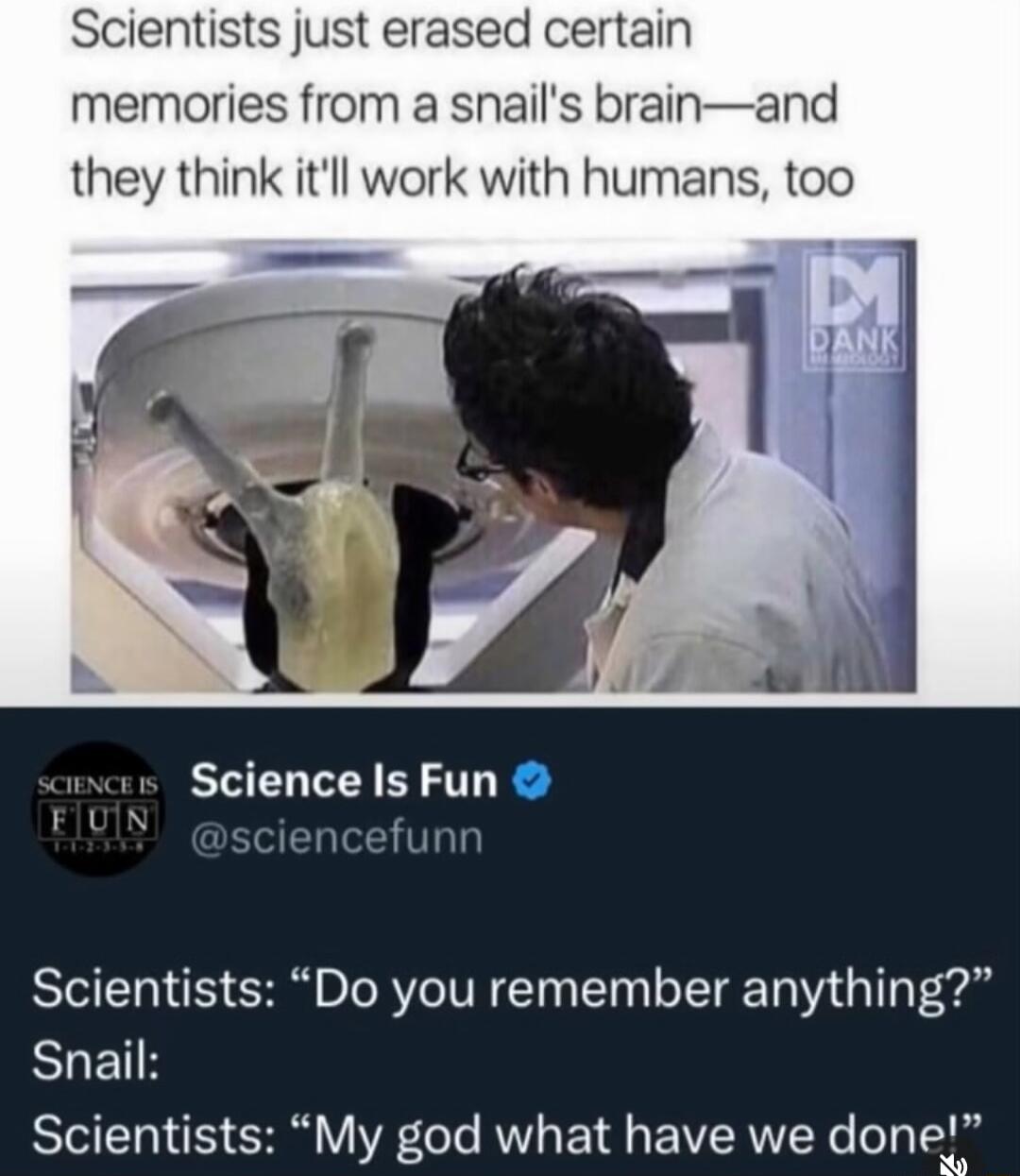 Scientists just erased certain memories from a snails brainand they think itll work with humans too Science Is Fun Scientists Do you remember anything SHETH SIS GV E eTe AU BTG EIVERITEYe e Ty oA