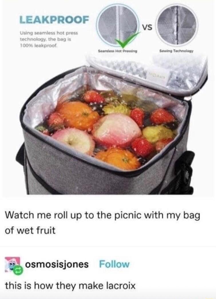 LEAKPROOF Watch me roll up to the picnic with my bag of wet fruit osmosisjones Follow this is how they make lacroix