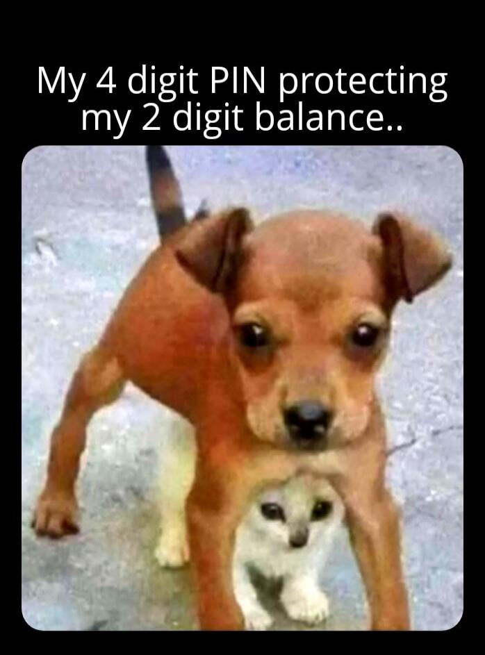 My 4 digit PIN protecting my 2 digit balance..