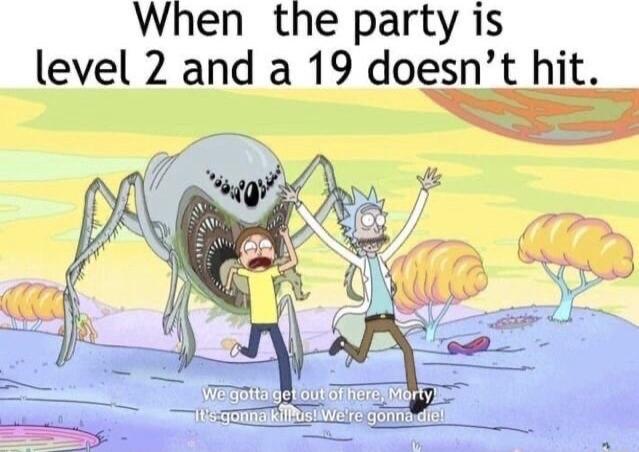When the party is level 2 and a 19 doesnt hit