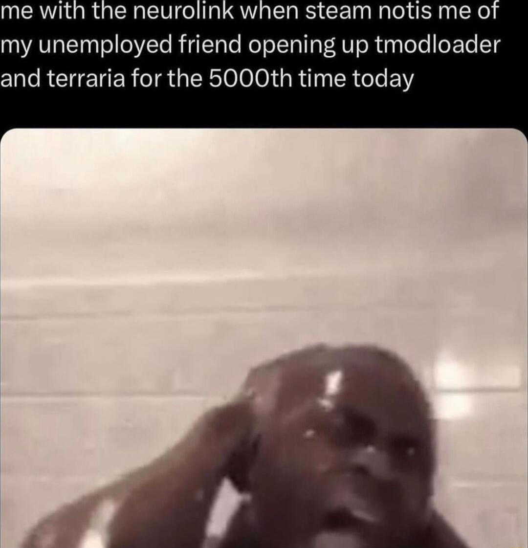 NEATIURUERENCIRLATHERRCE TN my unemployed friend opening up tmodloader d terraria for the 5000th time today