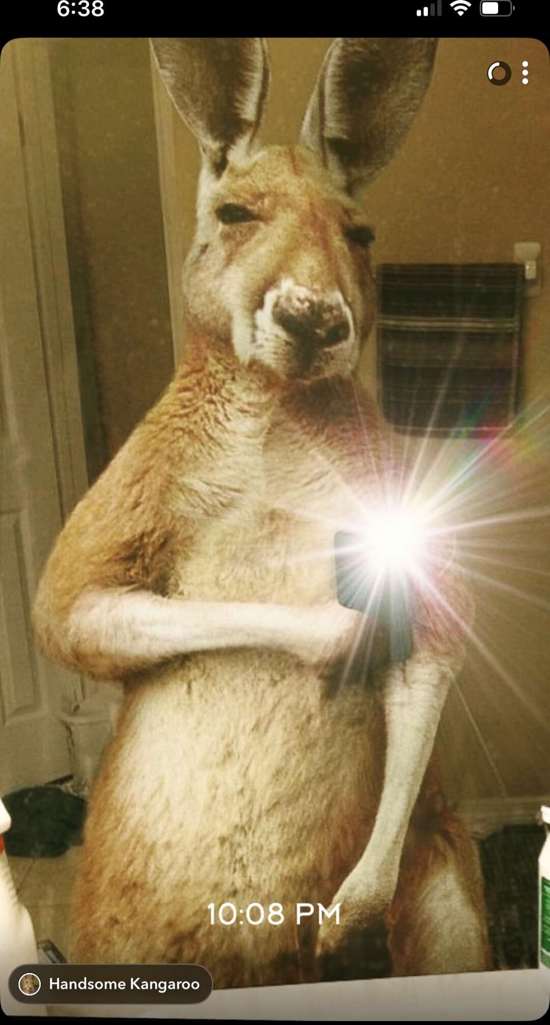 6:38  • Handsome Kangaroo • 10:08 PM