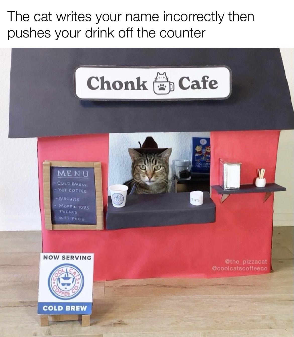 The cat writes your name incorrectly then pushes your drink off the counter Chonk Cafe