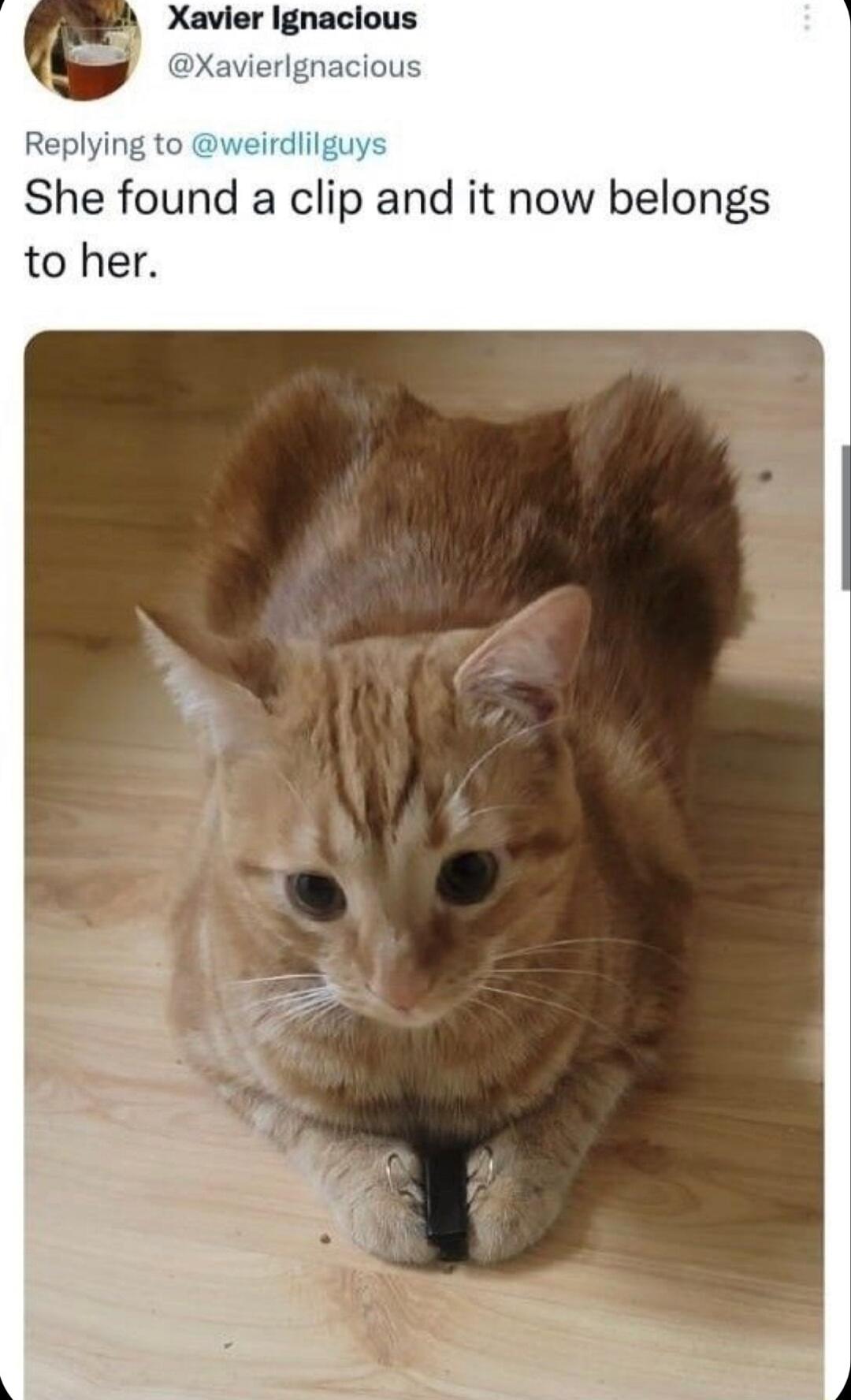 Xavier Ignacious DXavierlgnacious Replying to She found a clip and it now belongs to her