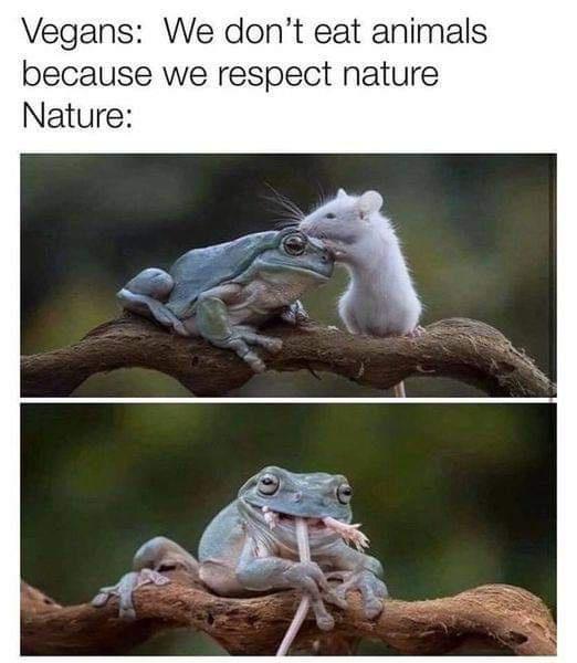 Vegans We dont eat animals because we respect nature Nature