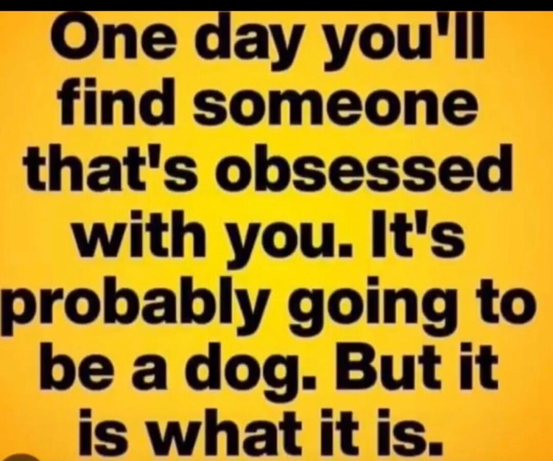 One day you'll find someone that's obsessed with you. It's probably going to be a dog. But it is what it is.