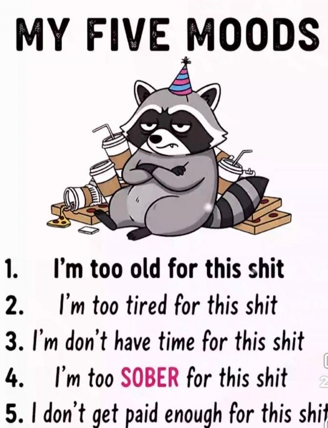 MY FIVE MOODS
1. I'm too old for this shit
2. I'm too tired for this shit
3. I don't have time for this shit
4. I'm too SOBER for this shit
5. I don't get paid enough for this shit