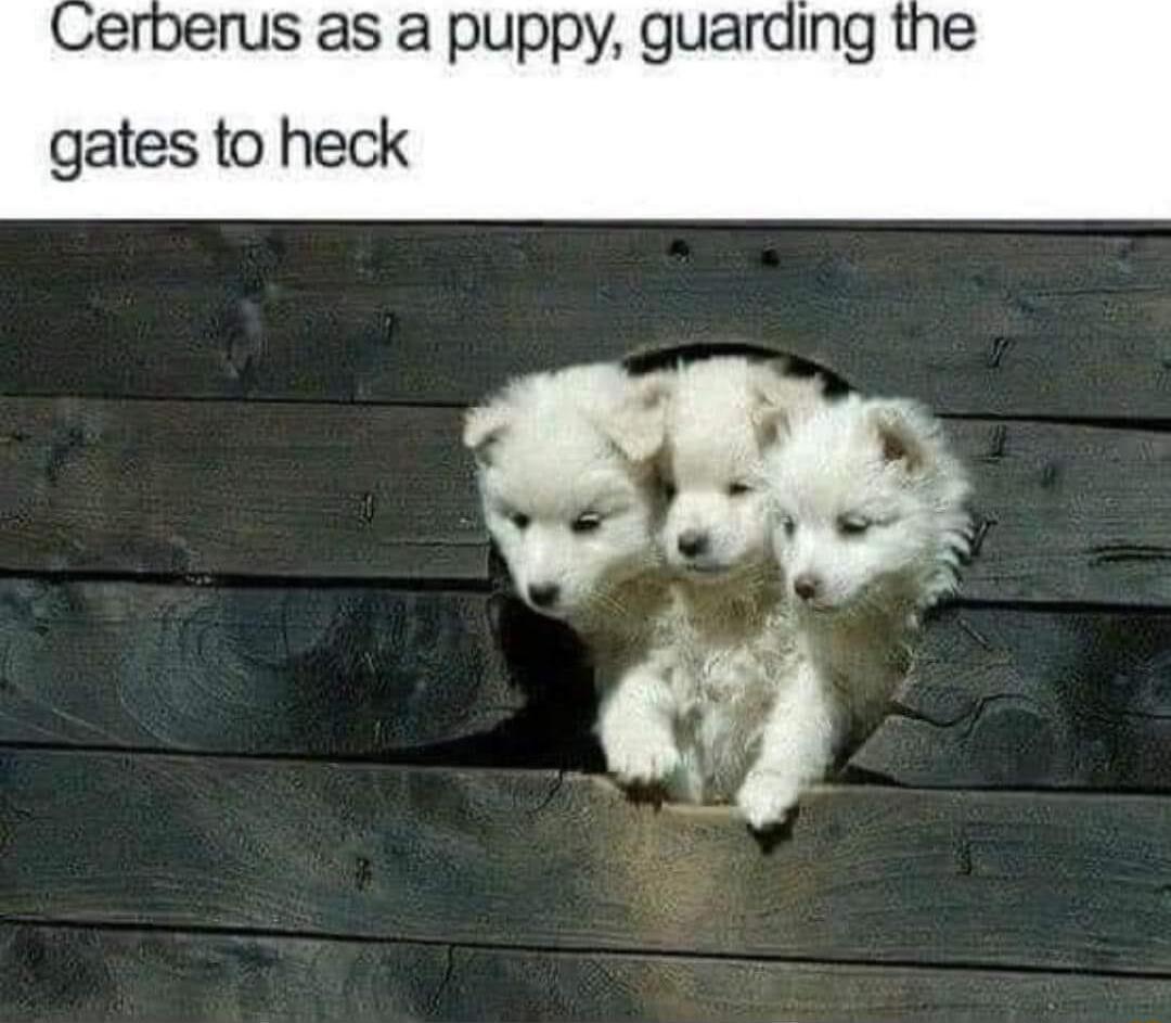 erberus as a puppy guarding the gates to heck