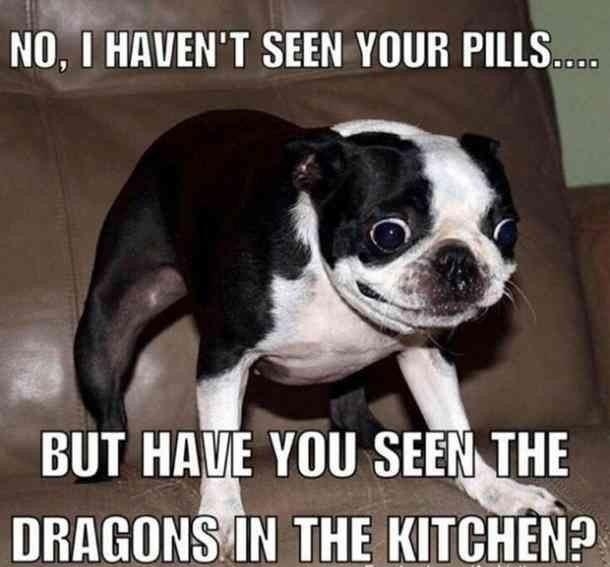 NHUENT SEEN YOUR PILLS 4 BUT HAUE YOU SEERTHE DRAGONSYIN THE KITCHEN