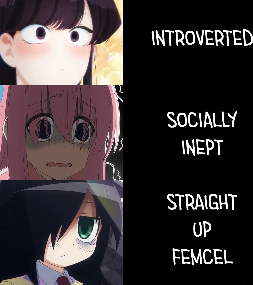 SOCIALLY INEPT INTROVERTED STRAIGHT 0P FEMCEL px