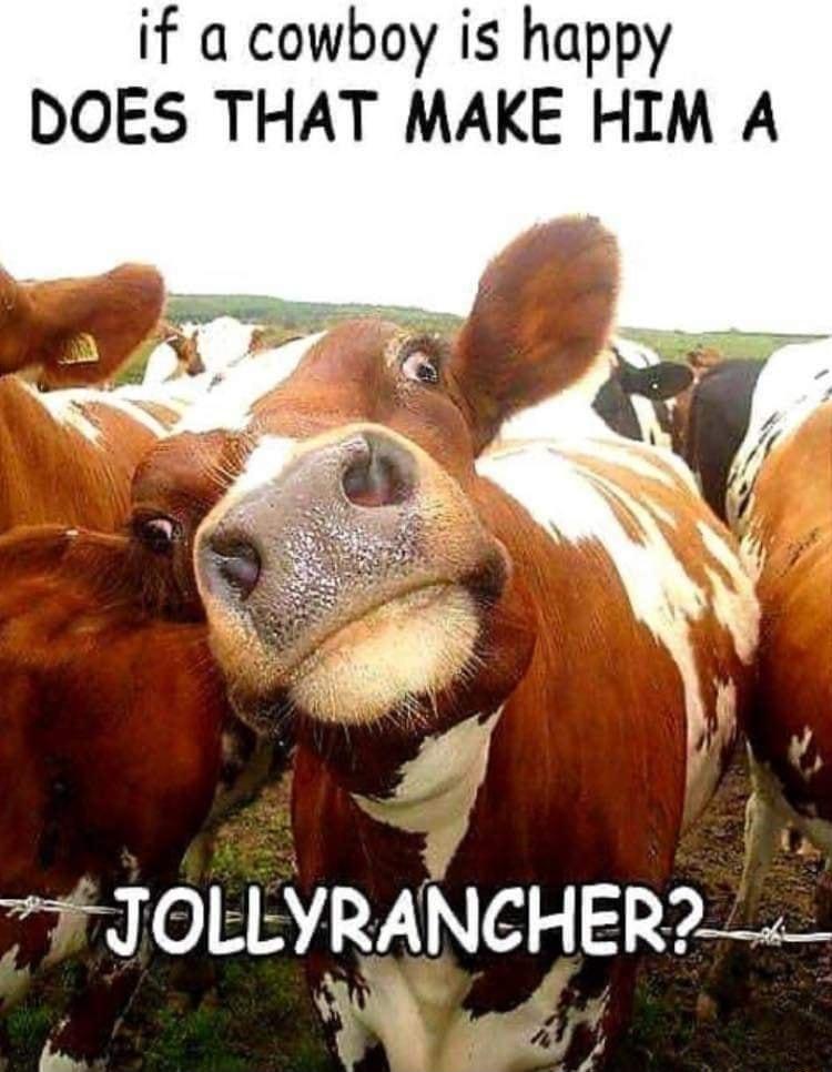 if a cowboy is happy DOES THAT MAKE HIM A JOLLYRANCHER Y A o