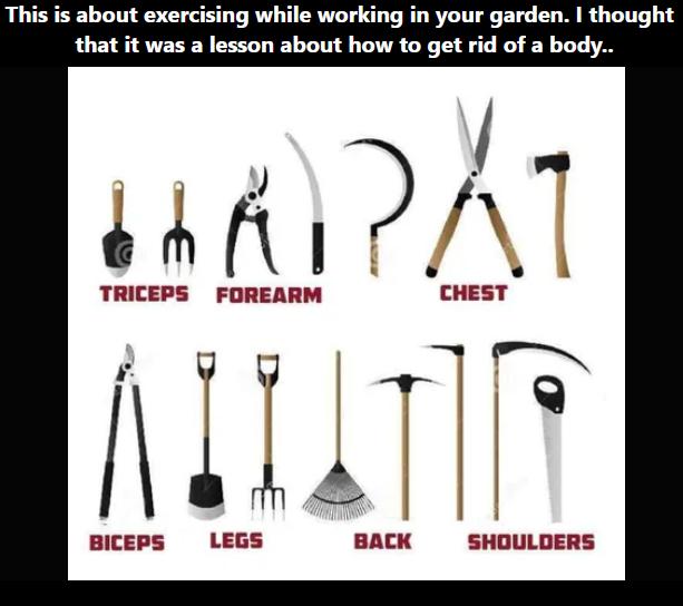 This is about exercising while working in your garden thought that it was a lesson about how to get rid of a body BICEPS BACK SHOULDERS