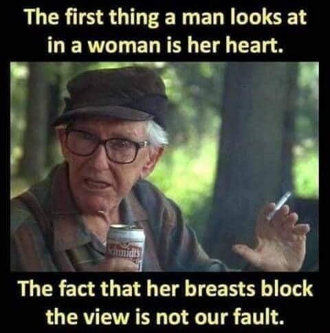 LGRS SN ELY LTSS LIERVLT ELREN T T LGRS GEN T TR T the view is not our fault