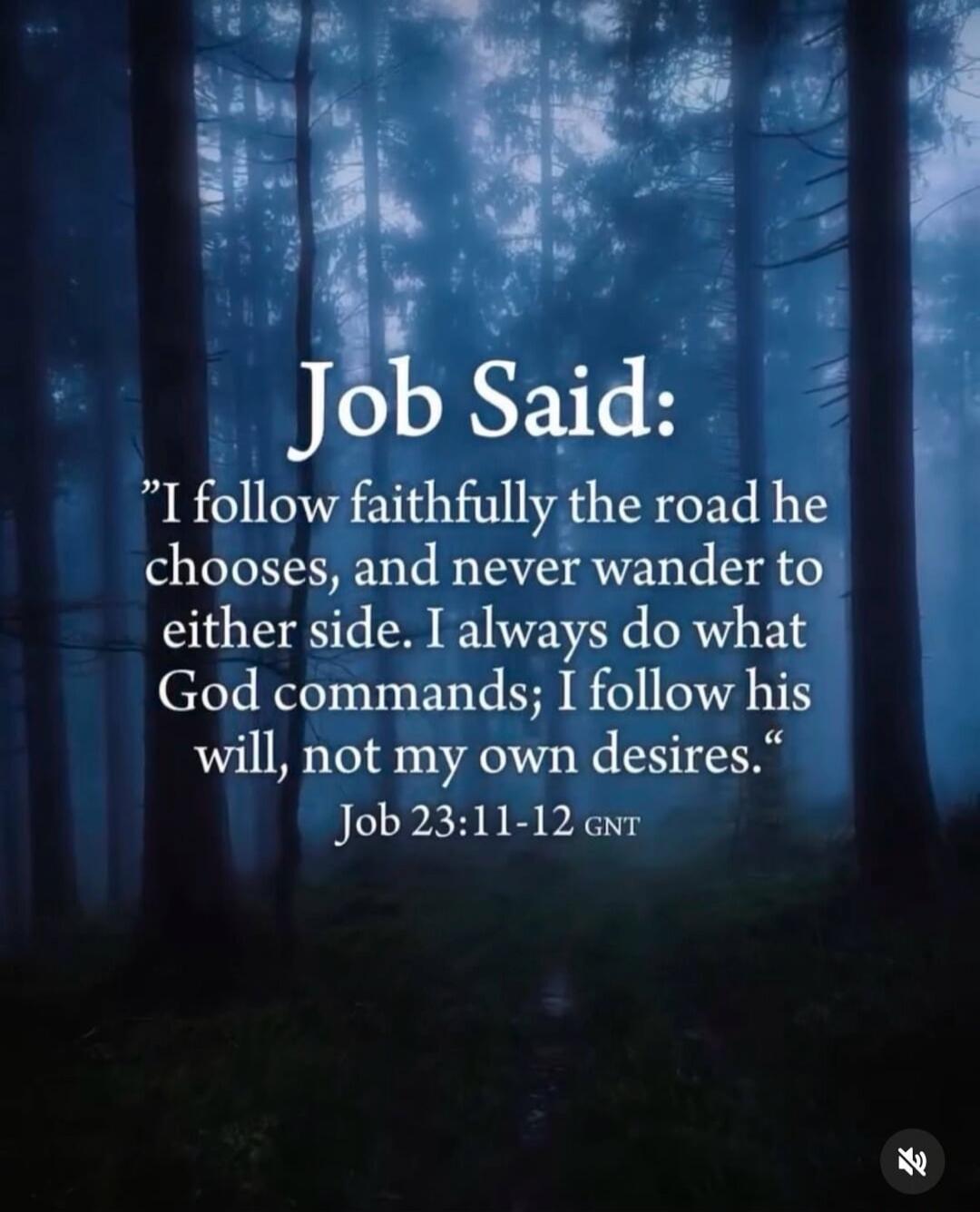 Job Said: 