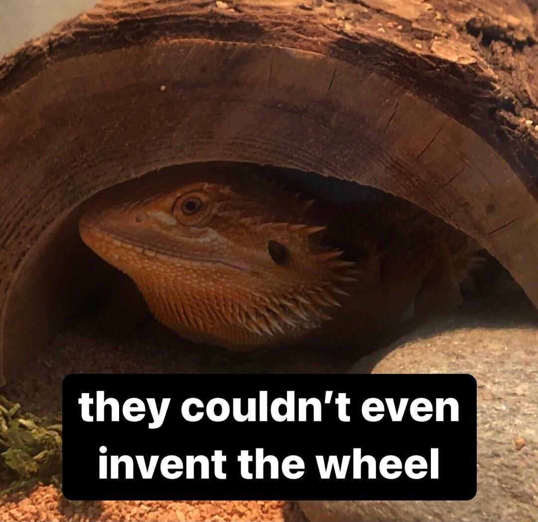 e LOTSTATIT g AT invent the wheel