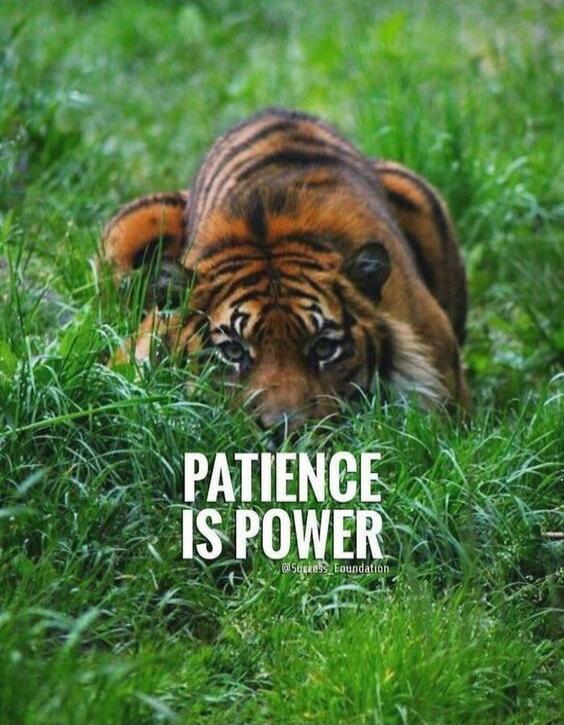 PATIENCE IS POWER @Success_Foundation