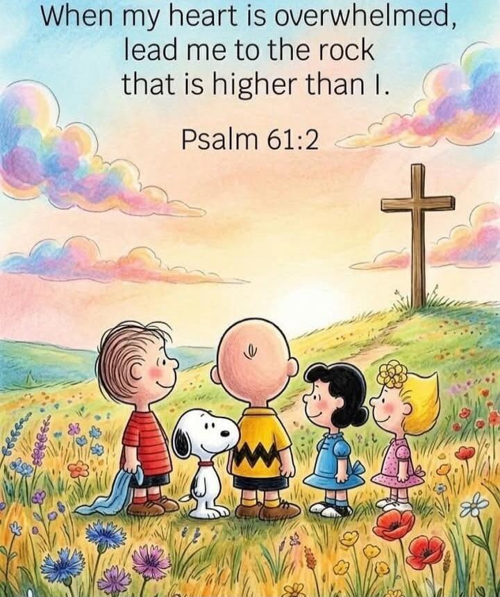 When my heart is overwhelmed, lead me to the rock that is higher than I. Psalm 61:2