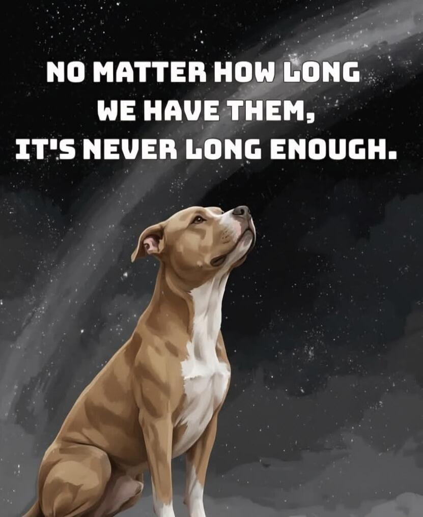 NO MATTER HOW LONG WE HAVE THEM, IT'S NEVER LONG ENOUGH.