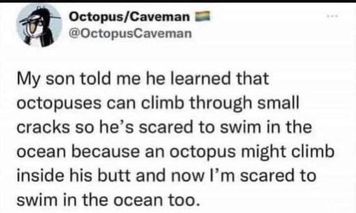 OctopusCaveman 0ctopusCaveman My son told me he learned that octopuses can climb through small cracks so hes scared to swim in the ocean because an octopus might climb inside his butt and now Im scared to swim in the ocean too