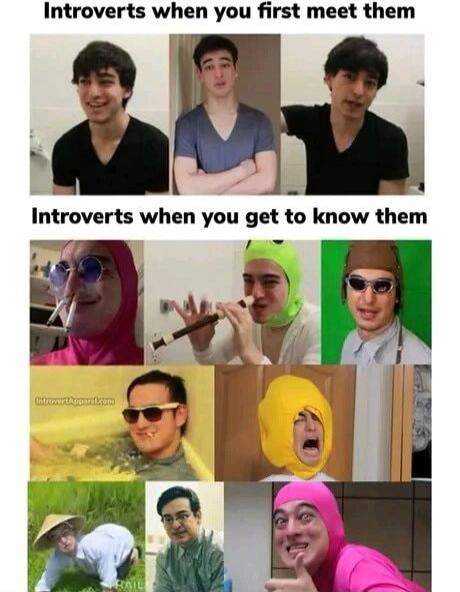 Introverts when you first meet them. Introverts when you get to know them. introvertapparel.com. FAIL.
