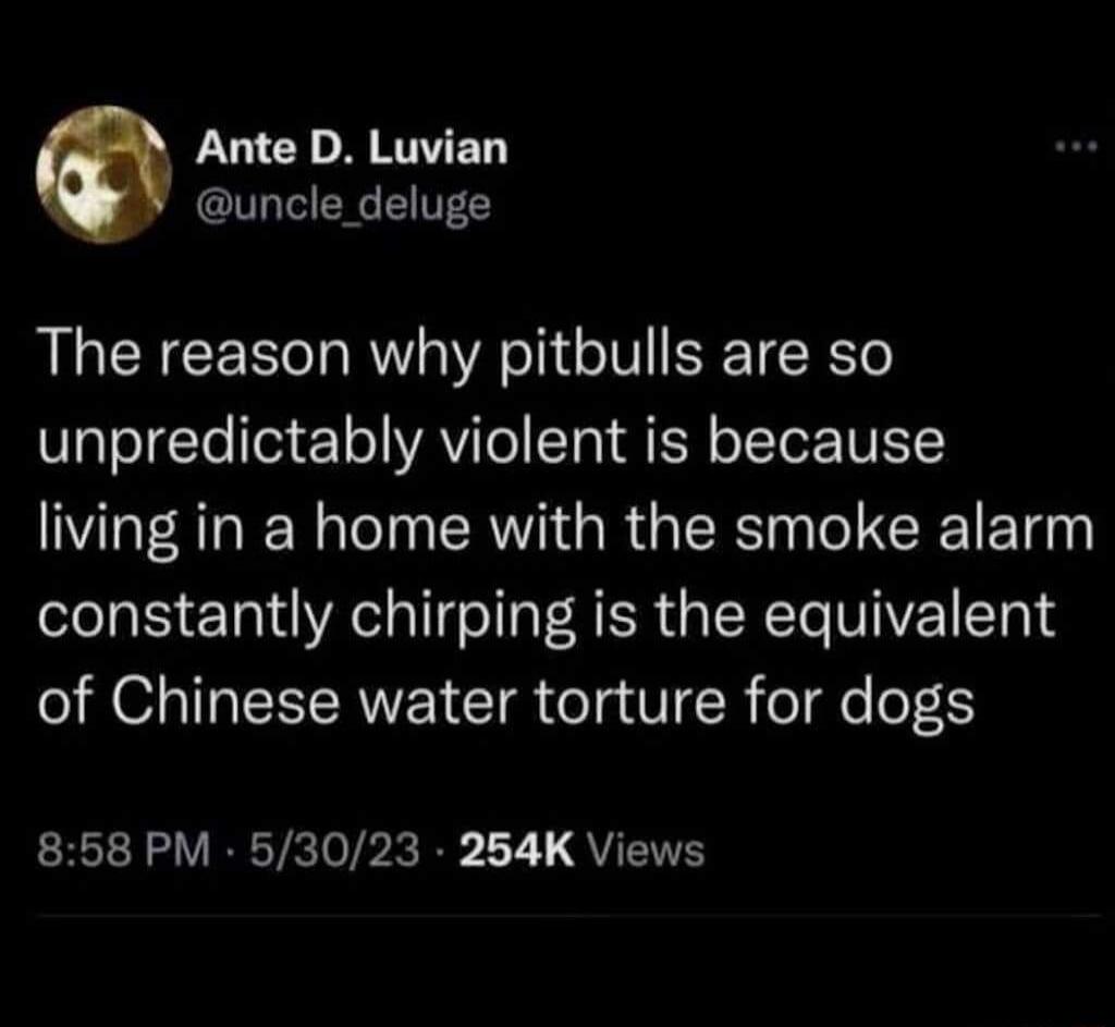 LY R RTVED Y uncle_deluge The reason why pitbulls are so VlafogTe ore1oVAYITe STa N oToTe o IUISTC living in home with the smoke alarm constantly chirping is the equivalent of Chinese water torture for dogs 858 PM 53023 254K Views