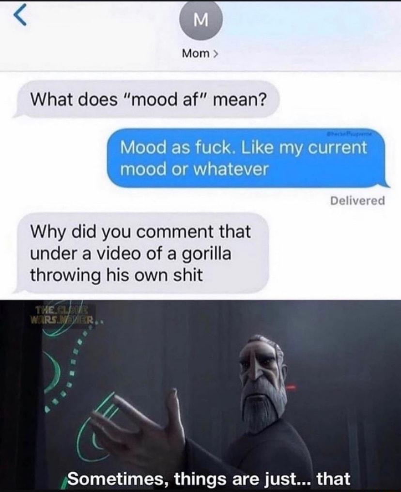 O Mom What does mood af mean Delivered Why did you comment that under a video of a gorilla throwing his own shit SToT g 14109 CMR 11 T R TN VS R 1 1 4