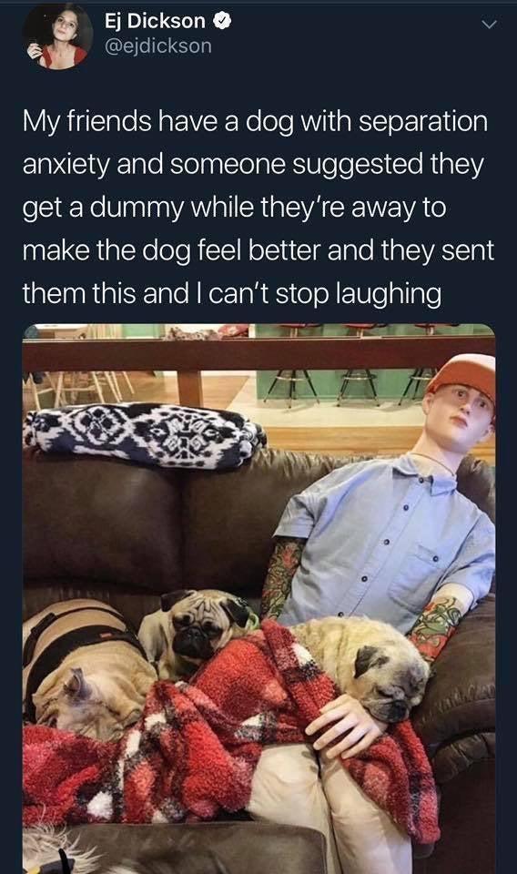 Ej Dickson v gli CE el ey VAT Te Y aEIVER Ne lole AVl aBSITo 1 ol anxiety and someone suggested they el aNeUlnalaa VAW ol CR i EVA R VALS make the dog feel better and they sent LAl RiaTSETale N orTaR S o 0N F1UTe allgTe