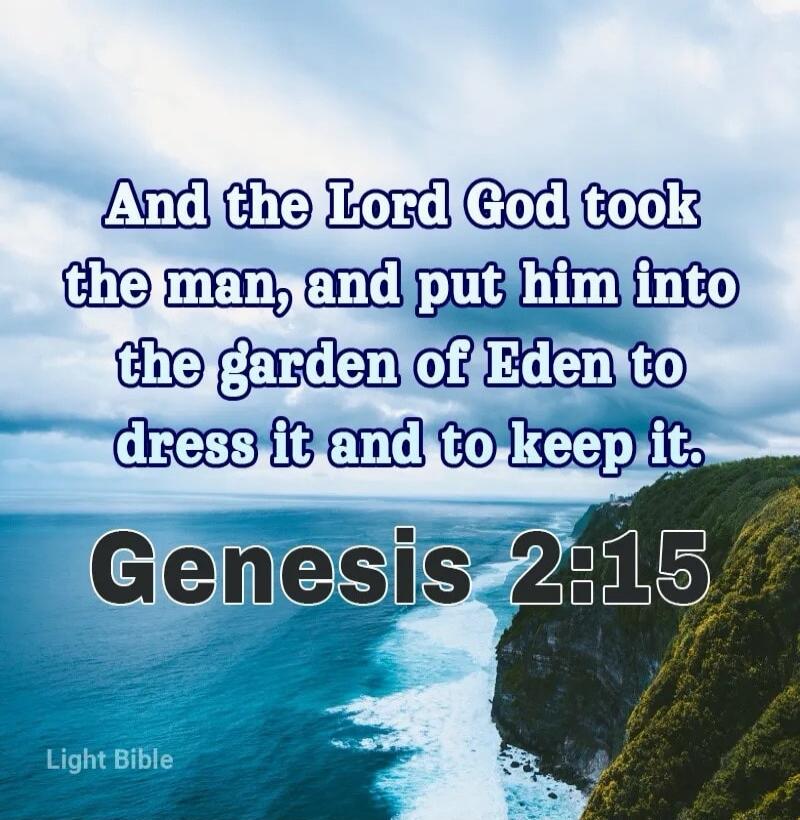 And the Lord God took the man, and put him into the garden of Eden to dress it and to keep it. Genesis 2:15 Light Bible