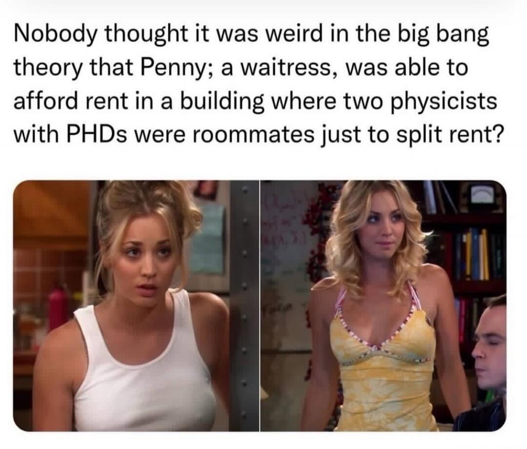 Nobody thought it was weird in the big bang theory that Penny; a waitress, was able to afford rent in a building where two physicists with PHDs were roommates just to split rent?