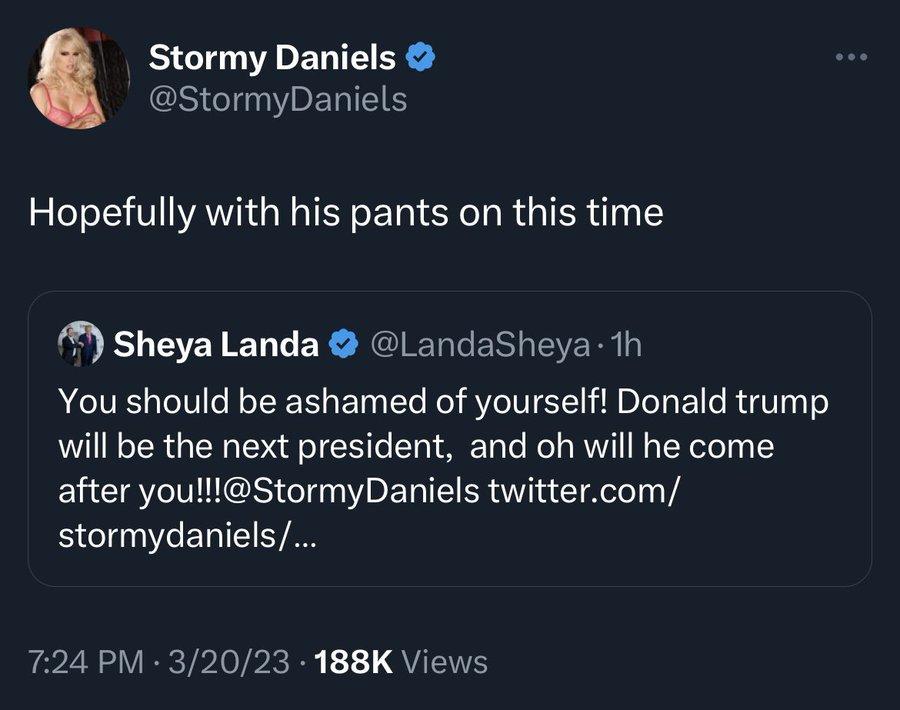 Stormy Daniels StormyDaniels Hopefully with his pants on this time Sheya Landa LandaSheya 1h You should be ashamed of yourself Donald trump will be the next president and oh will he come after youlllStormyDaniels twittercom stormydaniels R ZE VR TPITPRRR QUETS