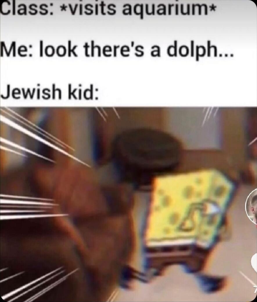 ass visits aquarium Me look theres a dolph Jewish kid