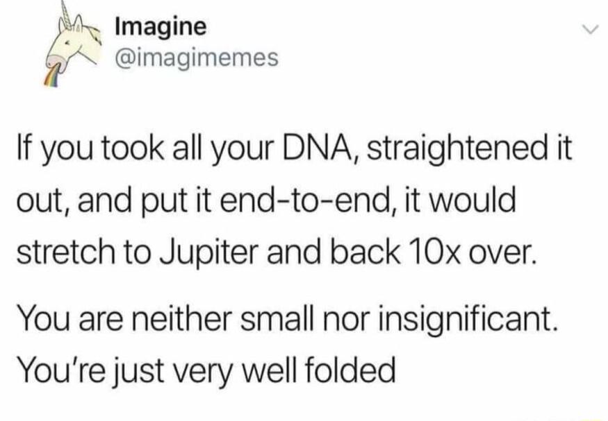 Imagine N imagimemes If you took all your DNA straightened it out and put it end to end it would stretch to Jupiter and back 10x over You are neither small nor insignificant Youre just very well folded