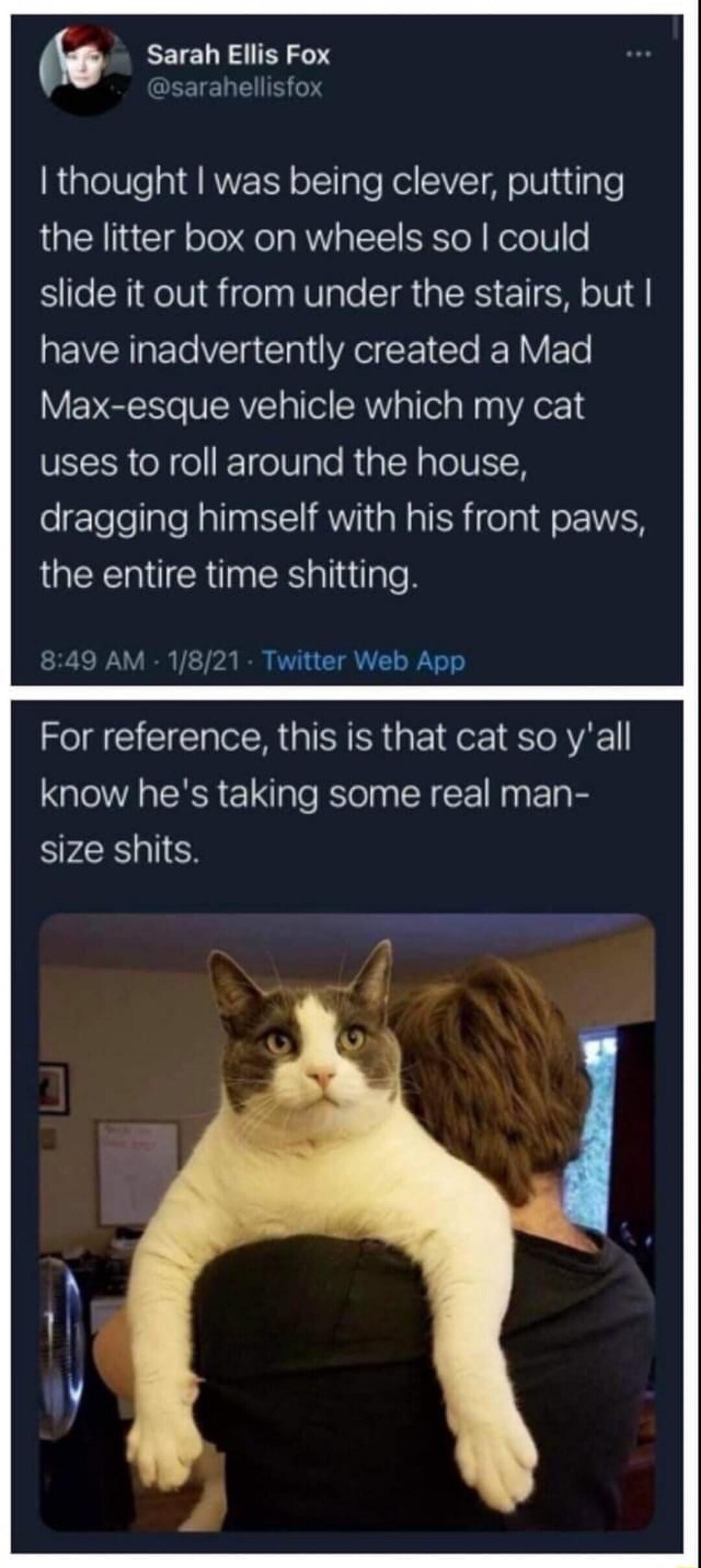 RleVTe p I RVERY ollpTe Kol SIVT A o W igle the litter box on wheels so could slide it out from under the stairs but have inadvertently created a Mad Max esque vehicle which my cat VIR o X o T 00 pTe R Y pTeIVER dragging himself with his front paws the entire time shitting 849 AM 1821 Twitter Web App For reference this is that cat so yall know hes taking some real man size shits