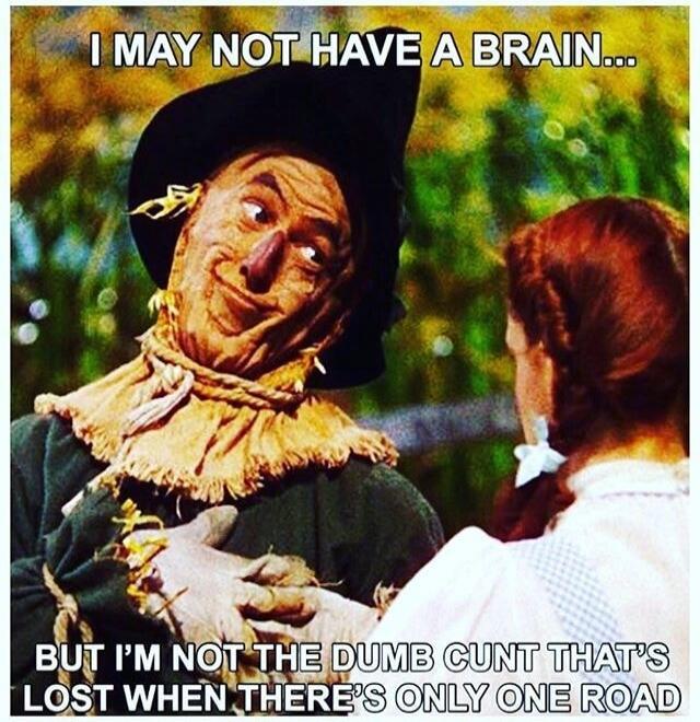 I MAY NOT HAVE A BRAIN... BUT I'M NOT THE DUMB CUNT THAT'S LOST WHEN THERE'S ONLY ONE ROAD