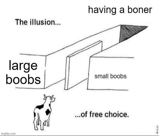 The illusion...\nlarge boobs\nsmall boobs\nhaving a boner\n...of free choice.