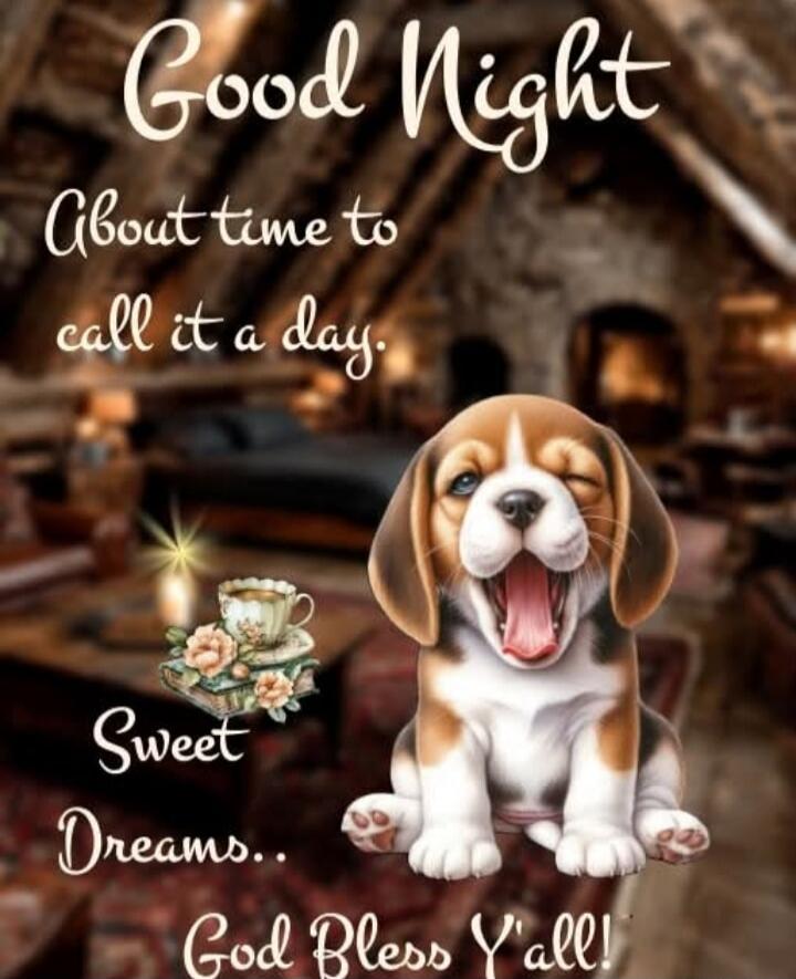 Good Night
About time to
call it a day.
Sweet Dreams..
God Bless Y'all!