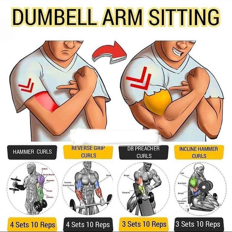 DUMBELL ARM SITTING HAMMER CURLS BEVERSECRI LEEEE INCLINE HAMMER CURLS CURLS 4 Sets 10 Reps EEECROIEEY 3 Sets 10 Reps EIRECRIUGENH