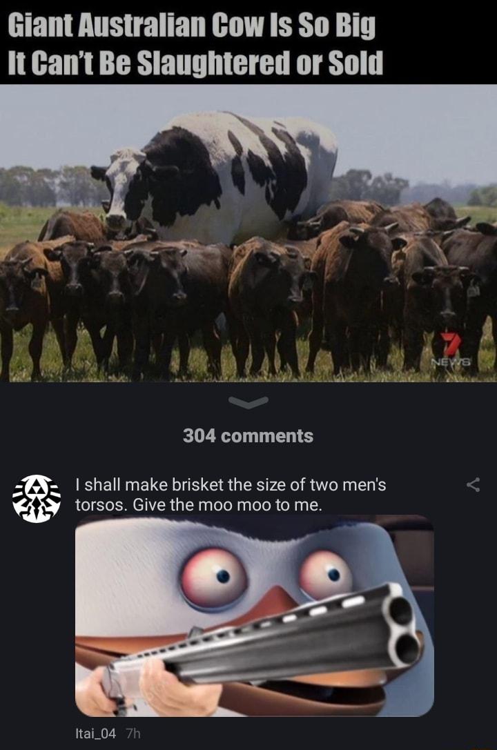 304 comments shall make brisket the size of two mens torsos Give the moo moo to me