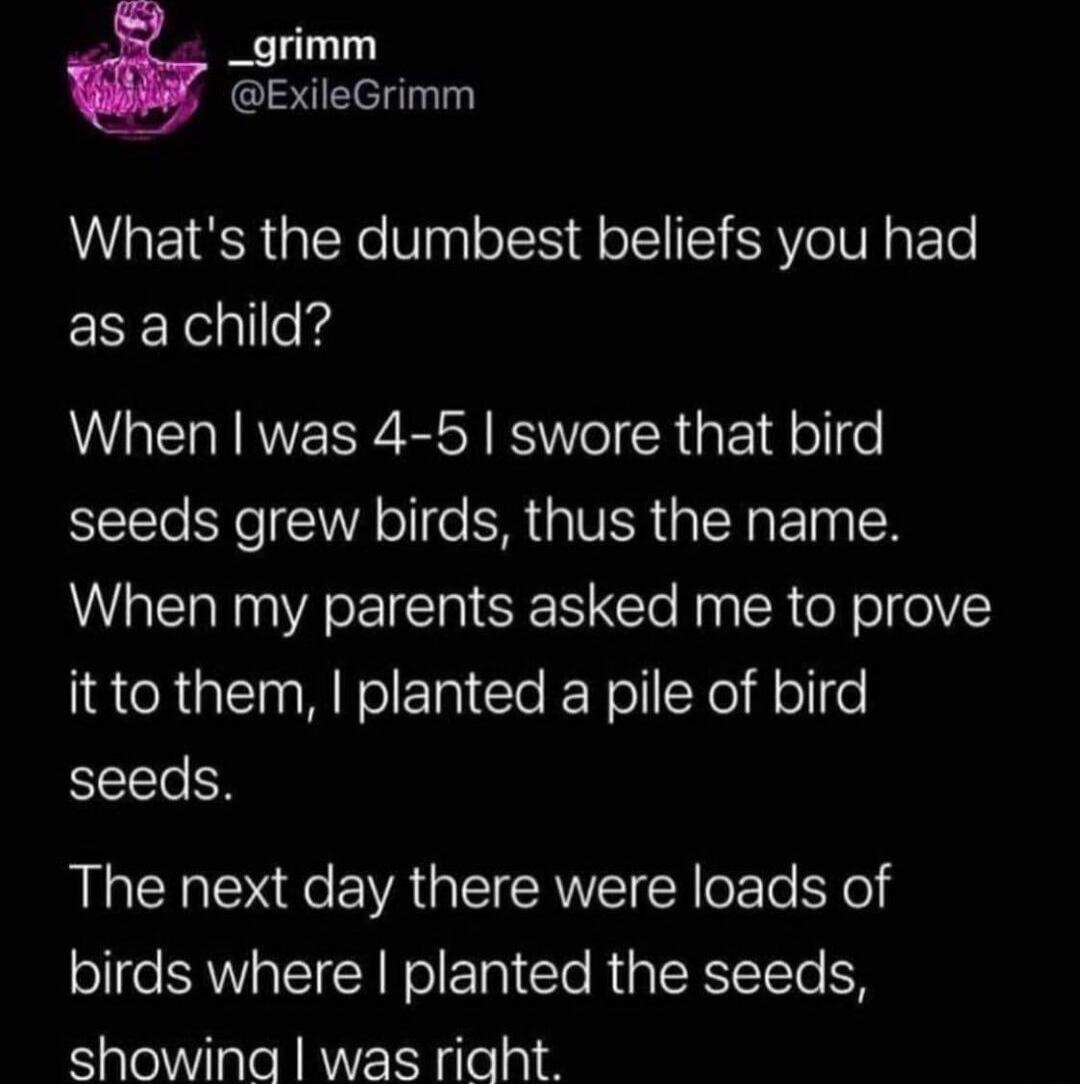 _ _grimm ExileGrimm Whats the dumbest beliefs you had as a child When was 4 5 swore that bird seeds grew birds thus the name When my parents asked me to prove it to them planted a pile of bird seeds The next day there were loads of birds where planted the seeds showina was riaht